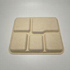 5 Compartment Biodegradable Bagasse Lunch Tray bagasse tray at hotel restaurant