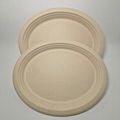 Sugarcane tableware big Oval Plate Disposable bagasse Oval Plate 