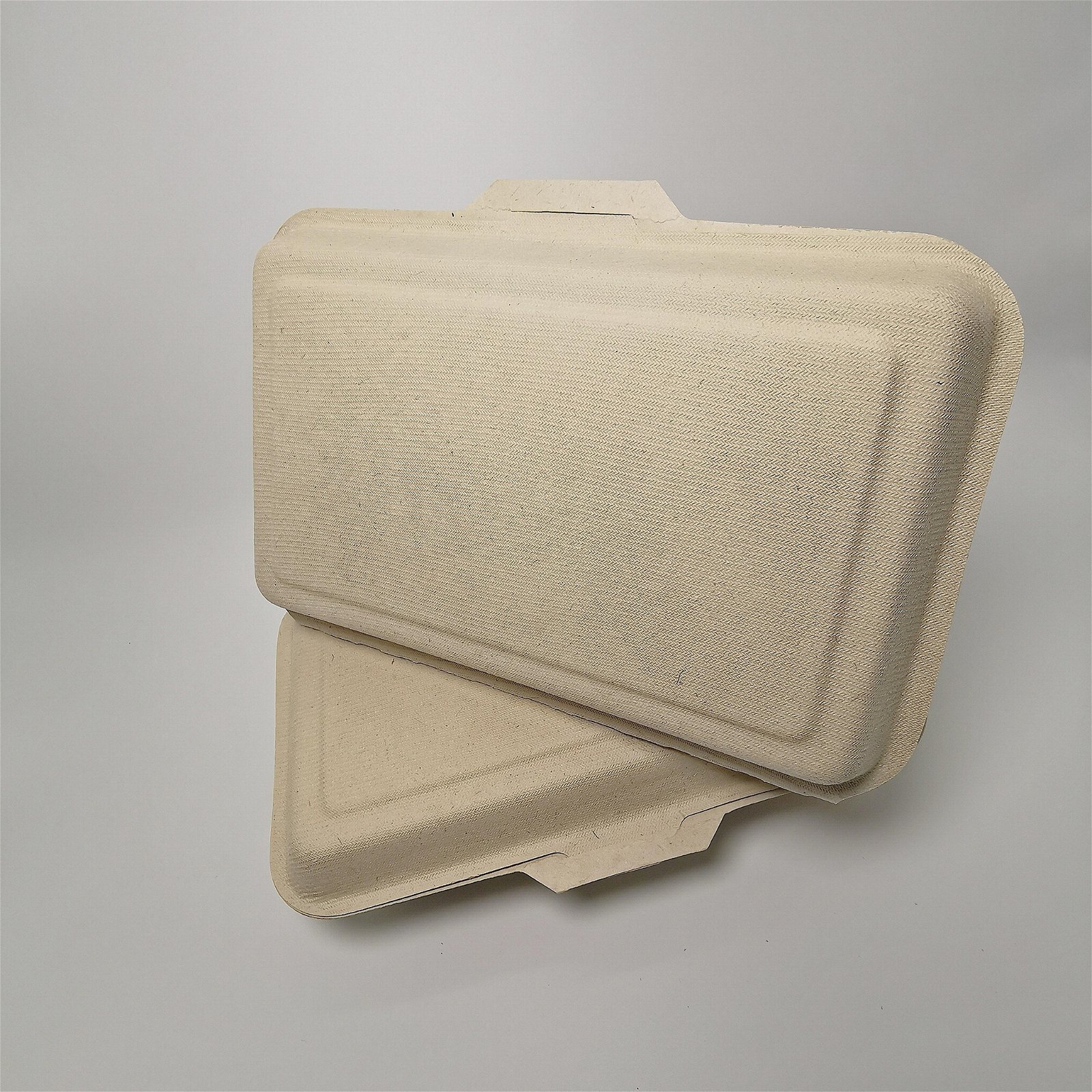 1000ML 2 compartment Eco food packaging biodegradable clamshell box