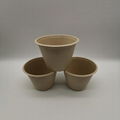 17oz Eco-friendly Biodegradable Disposable Wheat Straw Soup and drink cups 4