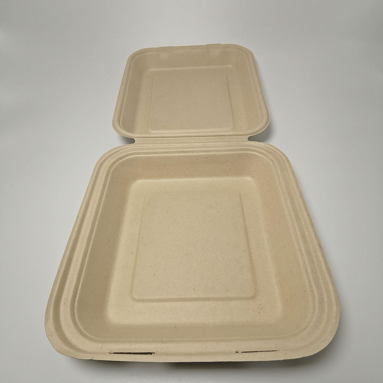 8 inch compostable sugarcane catering boxes disposable biodegradable clamshell