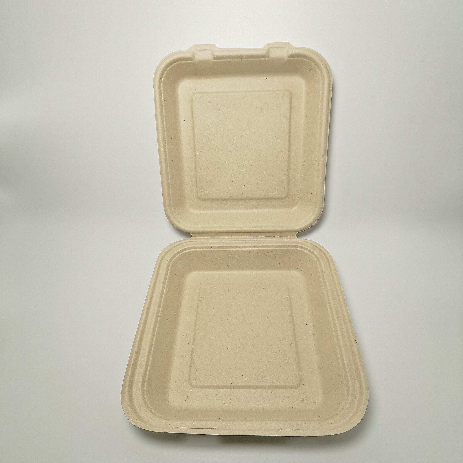 8 inch compostable sugarcane catering boxes disposable biodegradable clamshell 2