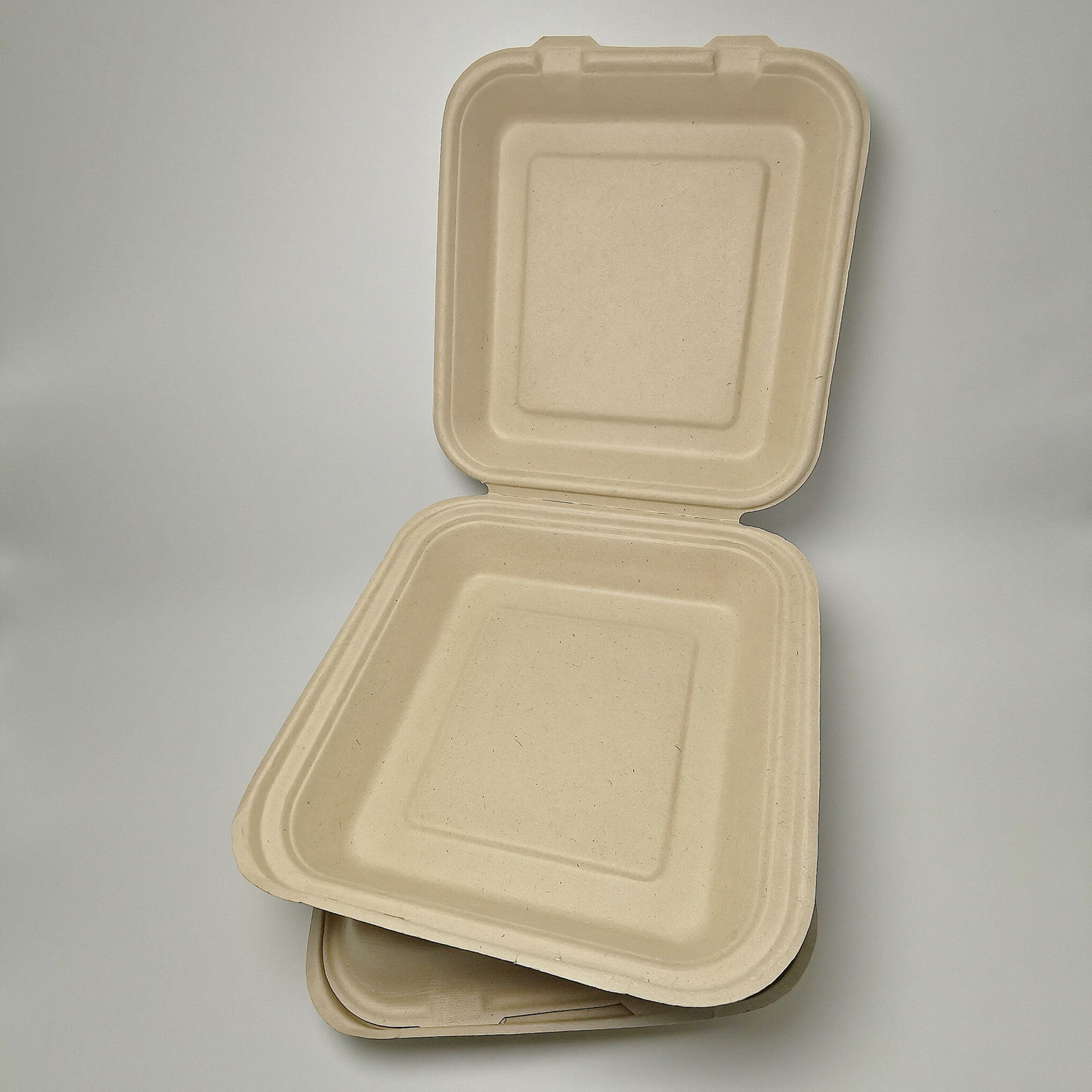 8 inch compostable sugarcane catering boxes disposable biodegradable clamshell 3
