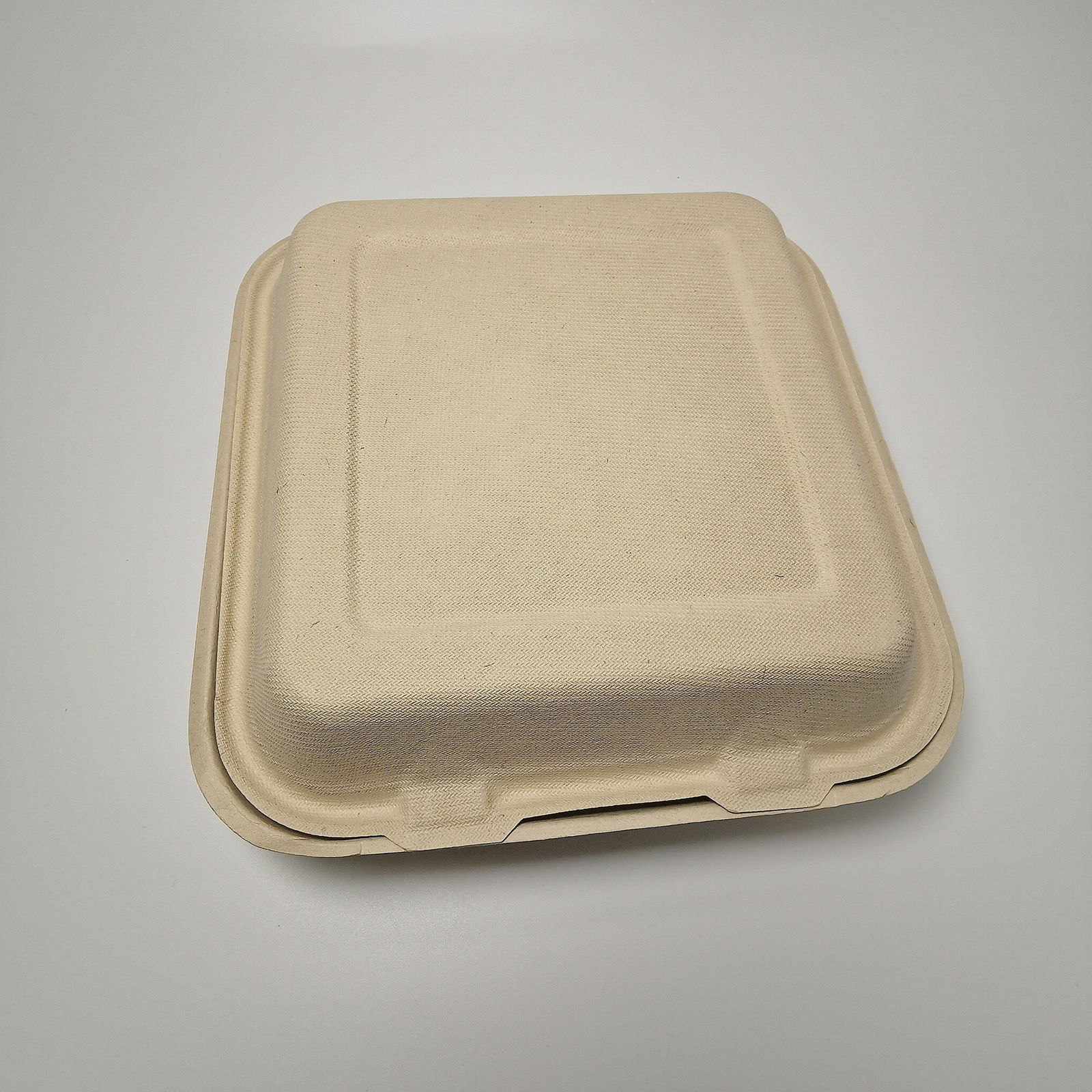 8 inch compostable sugarcane catering boxes disposable biodegradable clamshell 5