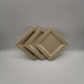 6 inch Top-quality Biodegradable Wheat Straw Square Plate eco-friendly plates 