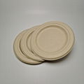 6" biodegradable eco-friendly plate for food  Round wheat straw plate 5