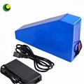 24V Customized capacity PVC Battery pack for electric vehicle 3