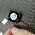 12V Ball Bearing Small Brushless DC