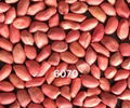 Peanut kernel red skin 2
