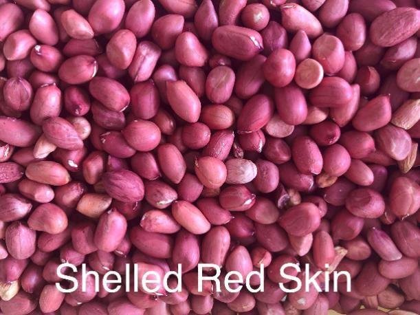 Peanut kernel red skin 3