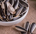 sunflower seeds China origin 1