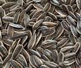 sunflower seeds China origin 2