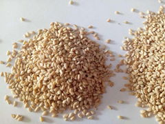 1KG Roasted White Sesame Seeds