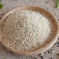 Rosted Hulled Sesame Seeds 1