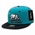 Twill cotton snapback hat new style plain sports hats with 3D embroidery label C 5