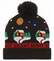 Light Up Christmas Hat Santa Clothes LED Lights Cuff Pom Pom Beanie