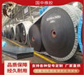  polyester conveyor belt  1