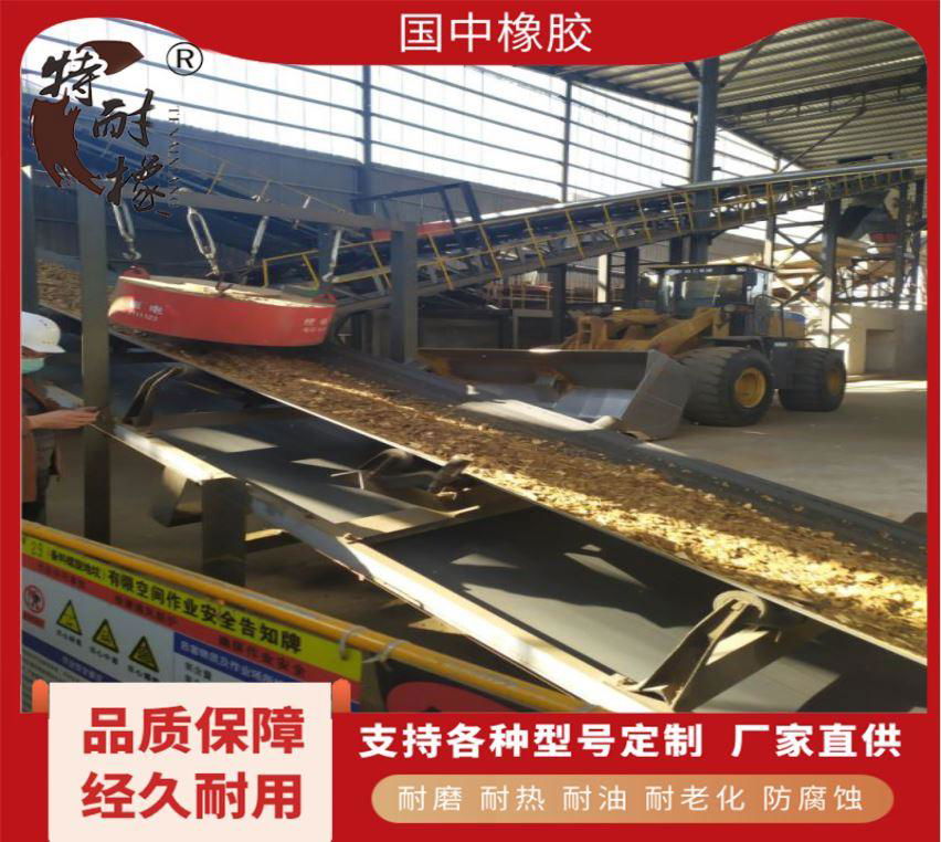  polyester conveyor belt  3