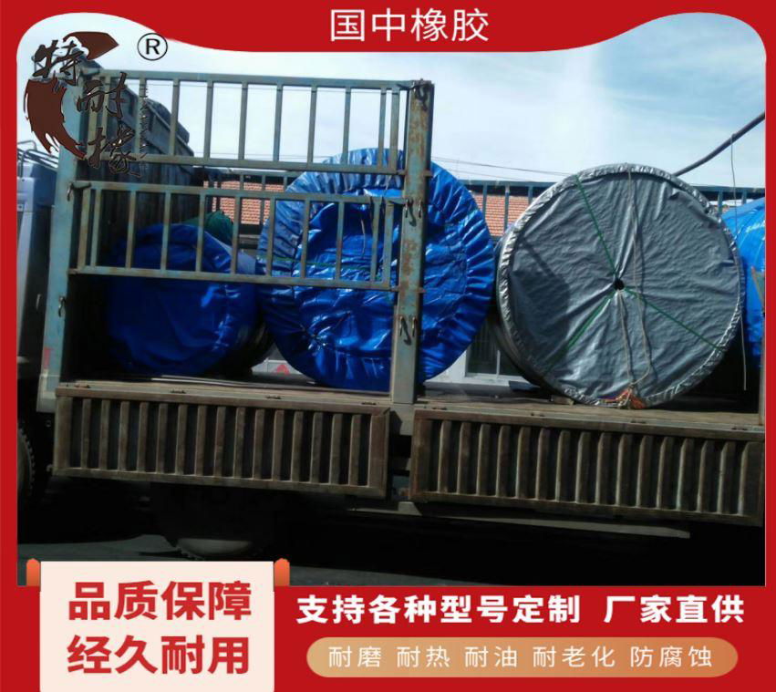  polyester conveyor belt  5