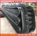 Corrugated edge conveyor belt, high temperature resistant