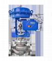 LN82 Series Single Seat Globe Control Valve 1