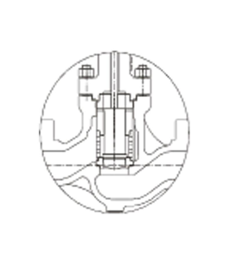 LM81 Series High Pressure Globe Control Valve 2