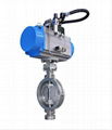 BN Series Triple Off Set Butterfly Valve 1