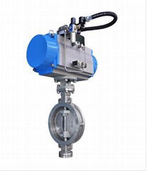 BN Series Triple Off Set Butterfly Valve