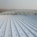 大型體育館65-330 鋁鎂錳金屬屋面板 2