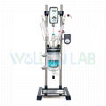 1L Jacketed Glass Reactor