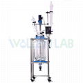 20L Glass Reactor