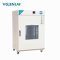 Intelligent Benchtop Lab Air-Blowing Hot Air Circultating Drying Oven