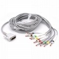 Philips Compatible Direct-Connect EKG Cable - M3703C 1