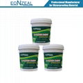 JS Cementitious Waterproof Coating(two component) 1