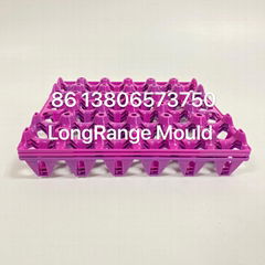 High quality poultry equipment mould egg tray mould