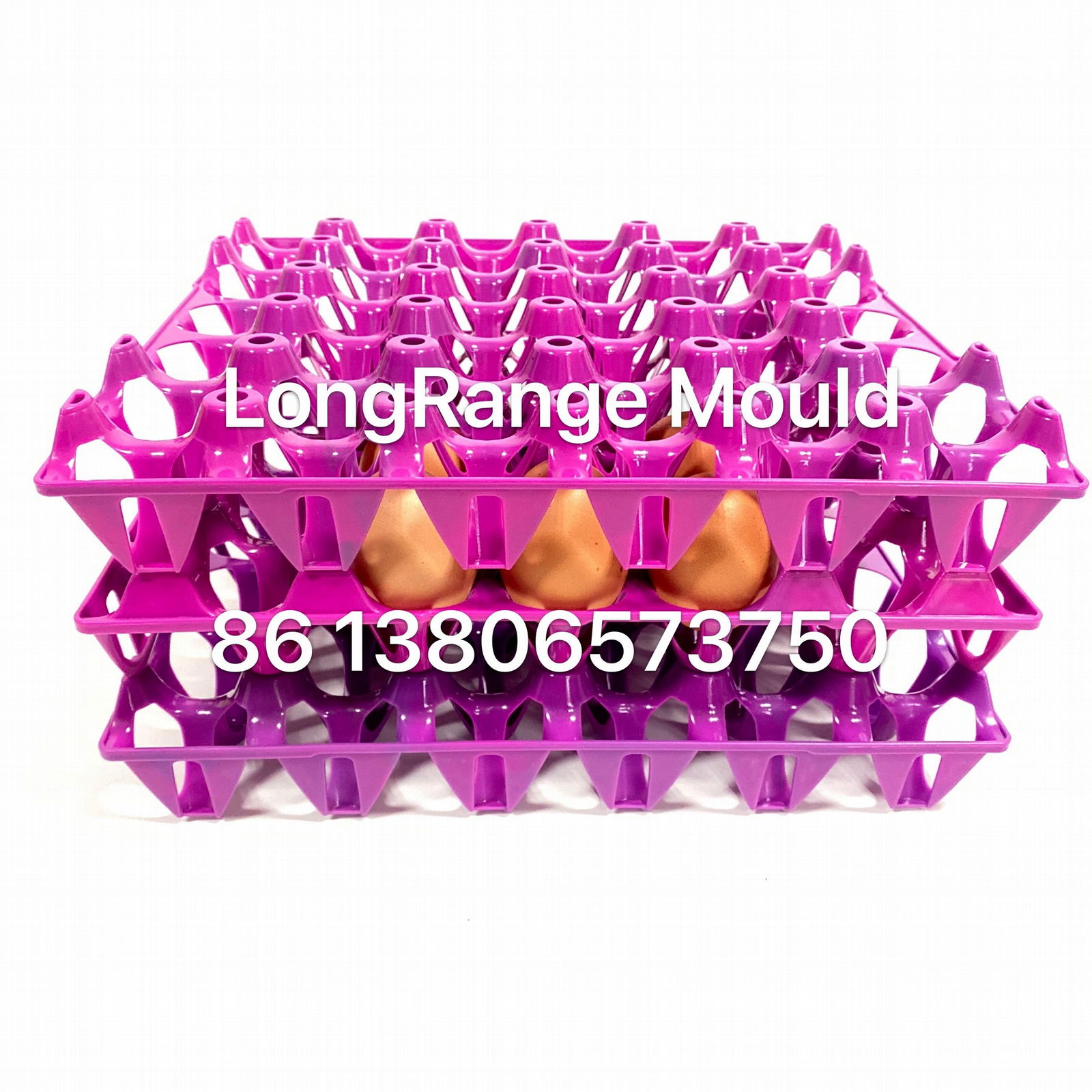 High quality poultry equipment mould egg tray mould 2