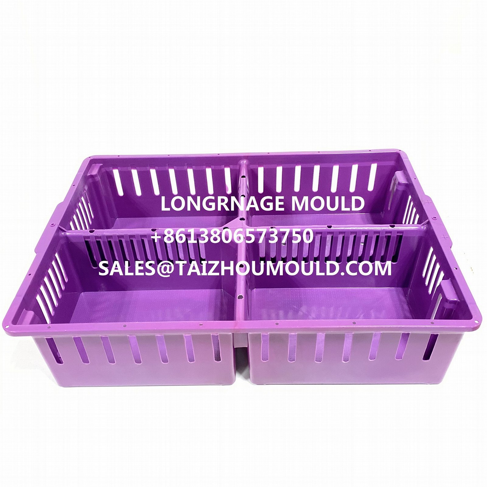 high precision injection chick box mould 