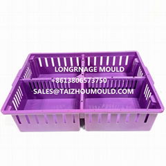 high precision injection chick box mould