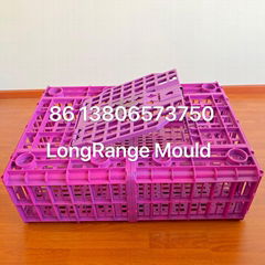 hot sale injection coop mould full set