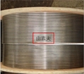 Inconel600不锈钢盘管 1