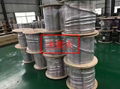 Inconel600不锈钢盘管 3