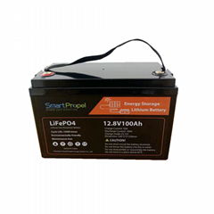 Lifepo4 battery 12v 100ah solar battery