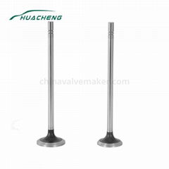 Diesel spare parts engine valve for