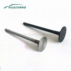 Auto spare parts engine valve for HOWO ZQ Eur III