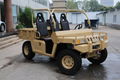 Lz800t3 All-Terrain Vehicle