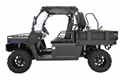 Lz1000X2 All-Terrain Vehicle