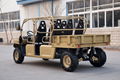 Lz1000t6 Light All Terrain Vehicle