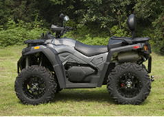 Lzatv800-6 Multipurpose off-Road Vehicle