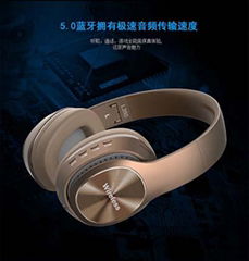 Bluetooth Earphone 