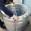 petroleum Flange